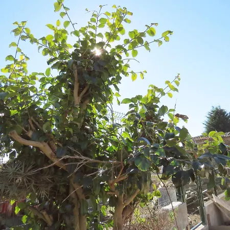 Casa Leonor De Aurora *