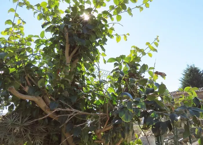 Casa Leonor De Aurora *