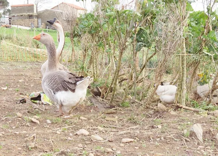 Casa Leonor De Aurora * Zas