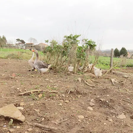 Casa Leonor De Aurora