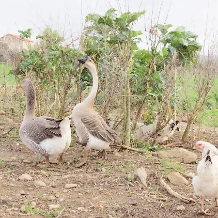 Landhaus Casa Leonor De Aurora *