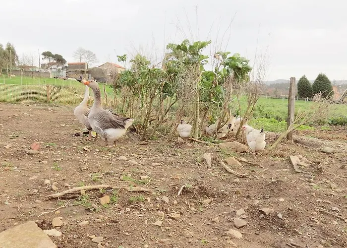 Casa Leonor De Aurora